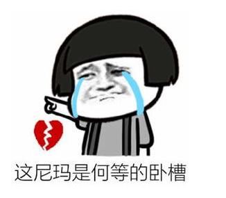 图片[2]-C语言 for 循环-猿说编程