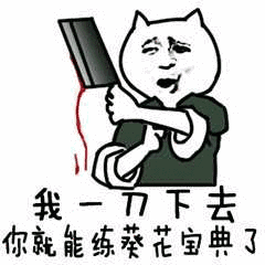 图片[1]-C语言 野指针-猿说编程