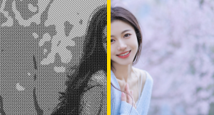 Windows OpenGL 图像黑白网状效果-猿说编程